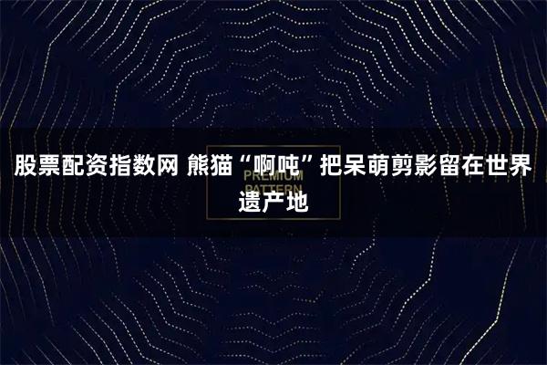 股票配资指数网 熊猫“啊吨”把呆萌剪影留在世界遗产地